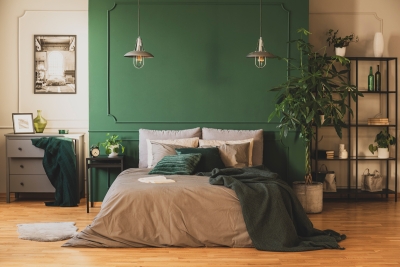 Pflanzen im Schlafzimmer? Der grüne Weg zu besserem Schlaf